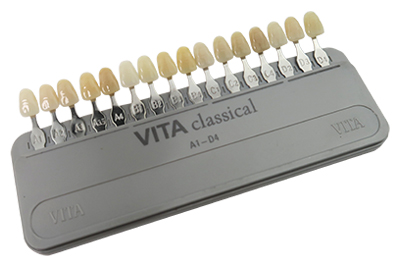 VITA Shade Guide 16 Color - C101