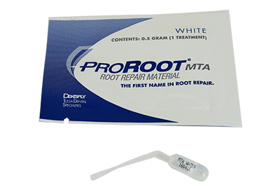 ProRoot MTA Root Repair Material, White, Refill - DSB05
