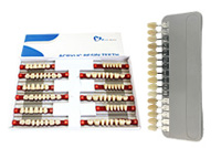 -Denture-Teeth-xt1.jpg