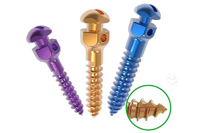 Orthodontic Screw  -  ORT102