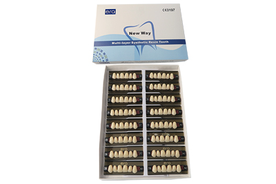 Three Layer Acrylic Resin Teeth - R103