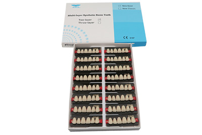 Two Layer Acrylic Resin Teeth - R203