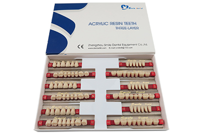 Synthetic Resin Teeth  Three Layer - SA31