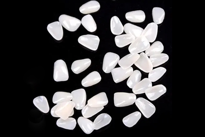 Resin Veneers - SA81  - SA81