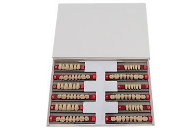 Three layer Synthetic Resin Teeth - SCS