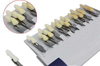 VITA Shade Guide 29 Color - C102