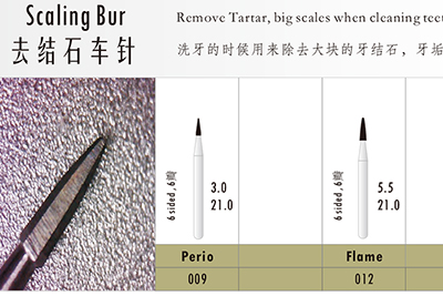 - Scaling Bur  - Scaling Bur