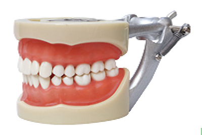 Standard Model, 200H - TM-A10