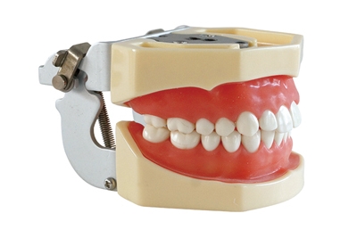Standard Model - TM-A14