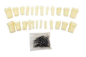 - TM-D6