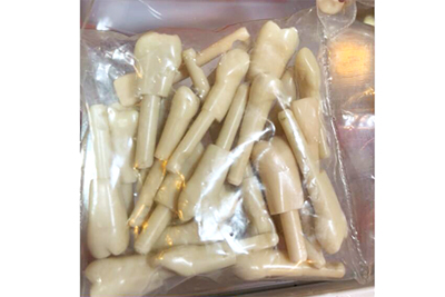 Replacement Tooth Model - TM-DK