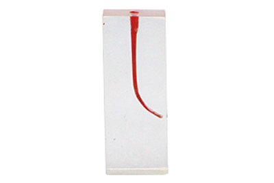 Dental Canal - TM-N7-01