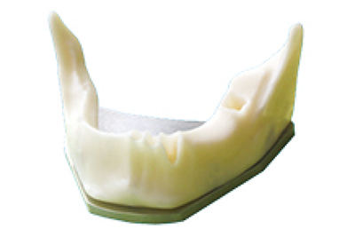Anatomically Bone mandible - TM-T3