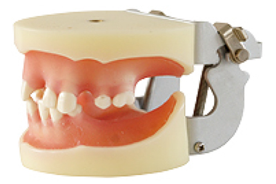 Implant Model - TM-T6